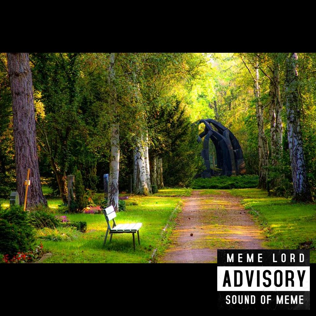 Forest Oasis