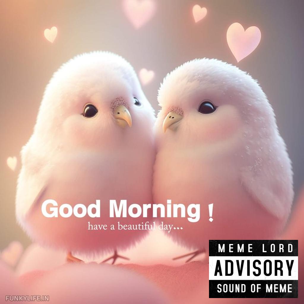 Feathered Love